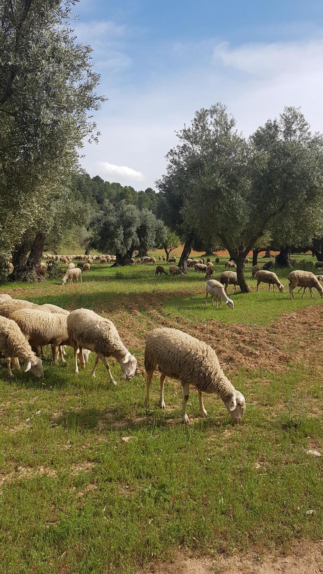 דירות Arnés Casa La Tia מראה חיצוני תמונה